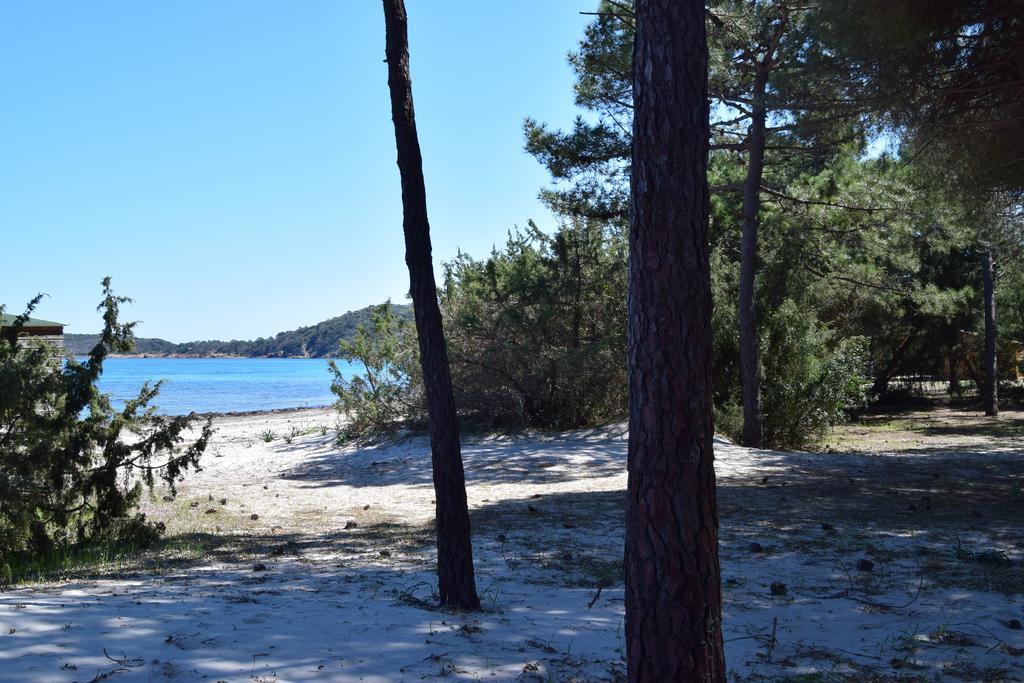 Apartmán Les Hauts De Pinarello Sainte-Lucie de Porto-Vecchio Exteriér fotografie