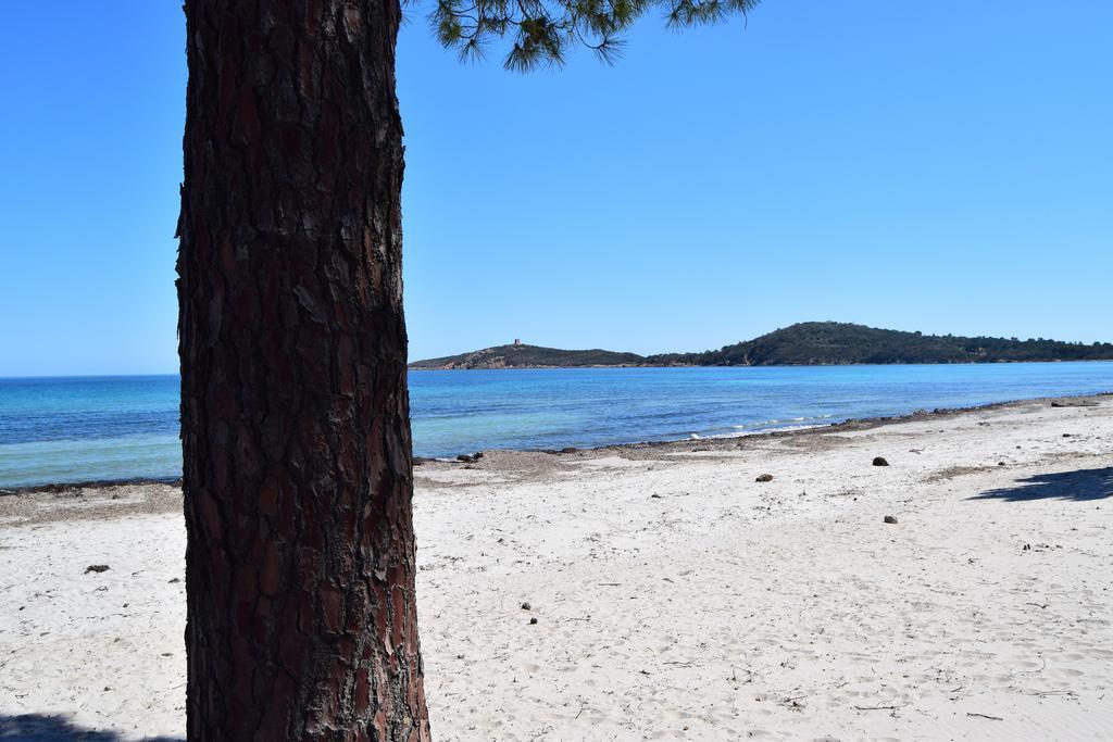 Apartmán Les Hauts De Pinarello Sainte-Lucie de Porto-Vecchio Exteriér fotografie