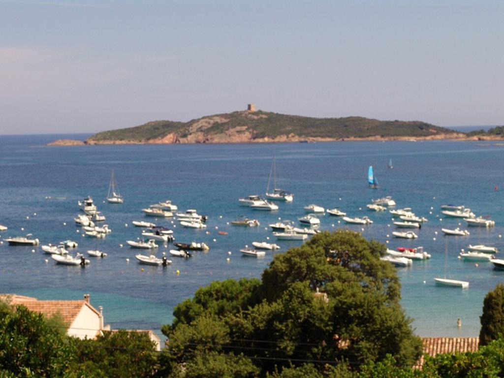 Apartmán Les Hauts De Pinarello Sainte-Lucie de Porto-Vecchio Exteriér fotografie